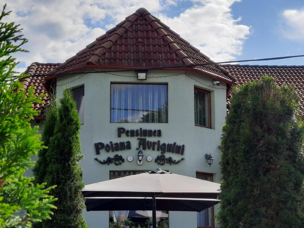 Pensiunea Poiana Avrigului 4* Avrig