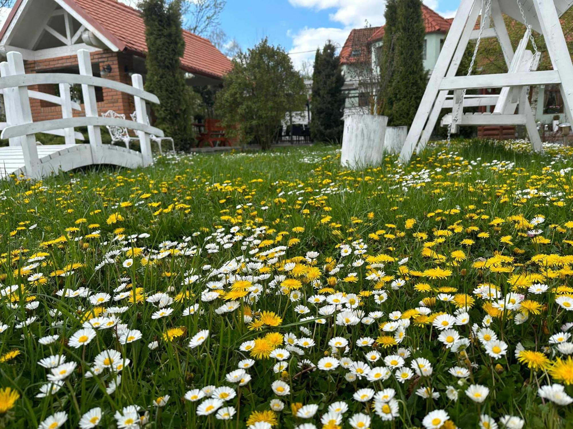 Gasthof Pensiunea Poiana Avrigului 4*