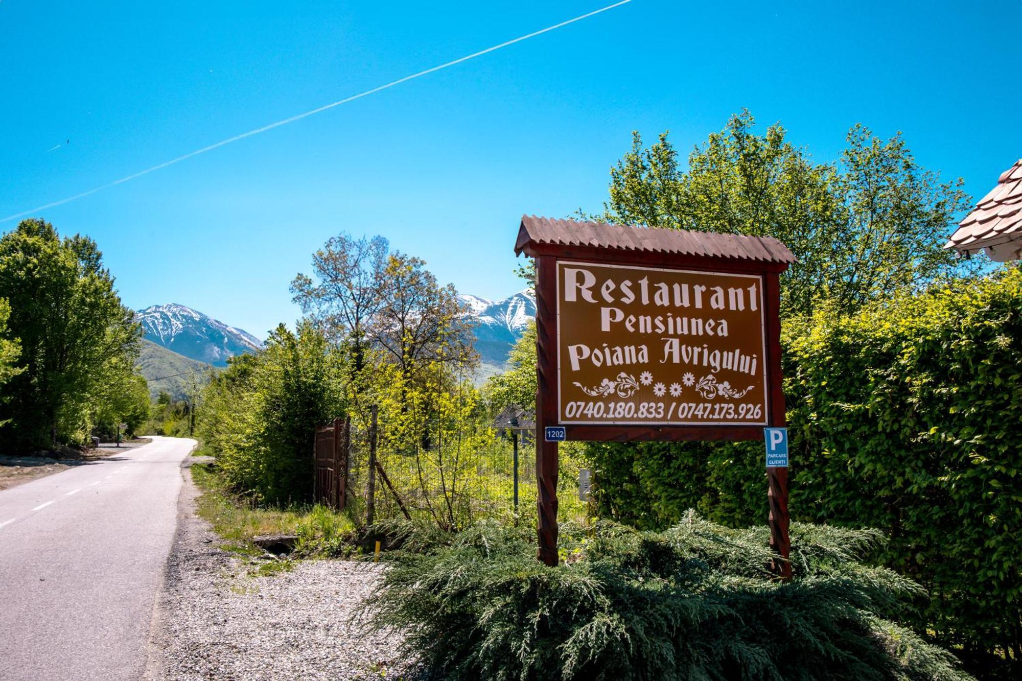 Pensiunea Poiana Avrigului 4*