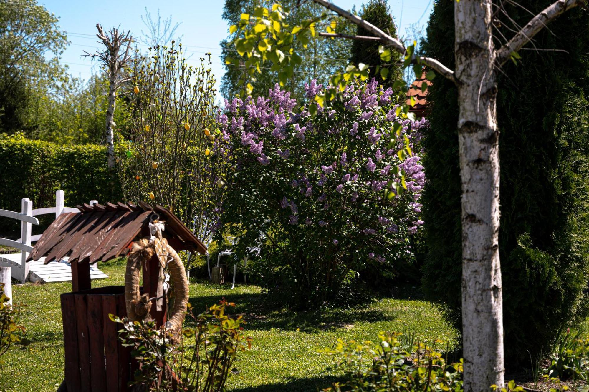 Gasthof Pensiunea Poiana Avrigului 4*